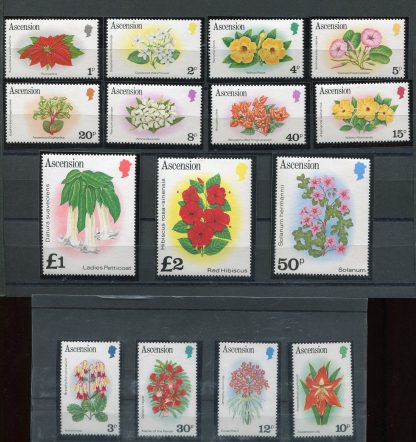 ASCENSION 1981 FLORA