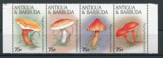 ANTIGUA 1996 - FUNGHI