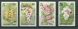 ASCENSION 1985 FLORA