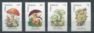 ANTIGUA 1992 - FUNGHI