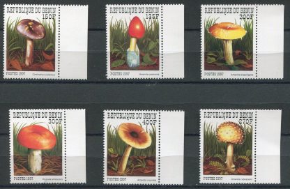 BENIN 1997 - FUNGHI