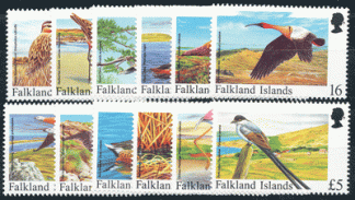 FALKLAND 1998 - UCCELLI