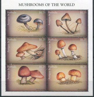 ANTIGUA 1997 - FUNGHI