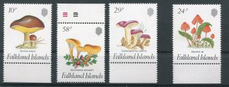 FALKLAND 1987 - FUNGHI