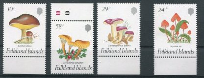 FALKLAND 1987 - FUNGHI