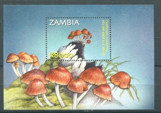 ZAMBIA 2002 - FUNGHI