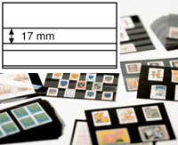 CARTONCINI 148 x 85 mm