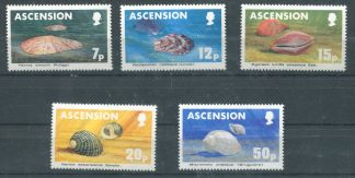ASCENSION 1983 CONCHIGLIE
