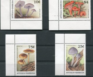 ANTIGUA 1989 - FUNGHI