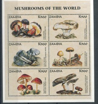 ZAMBIA 1998 - FUNGHI