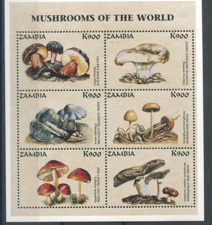 ZAMBIA 1998 - FUNGHI