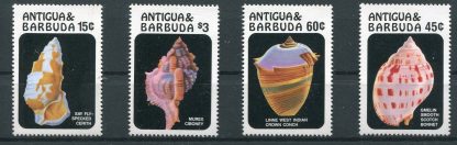 ANTIGUA 1986 - CONCHIGLIE