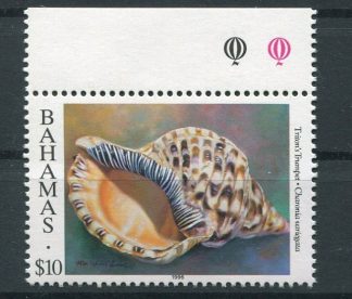 BAHAMAS 1996 CONCHIGLIE