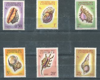 COMORE 1962 - CONCHIGLIE