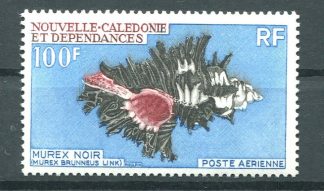 NUOVA CALEDONIA 1969 - CONCHIGLIE