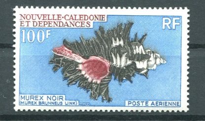 NUOVA CALEDONIA 1969 - CONCHIGLIE