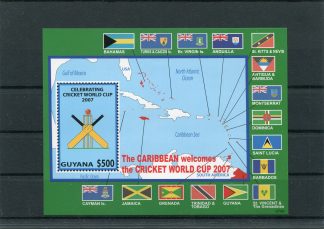 GUYANA 2007 CRICKET E BANDIERE YV.BF509