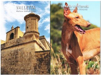 Ultima novità 2026 Malta coppia 2 euro fior di conio in blister ufficiale - Cane e la Valletta